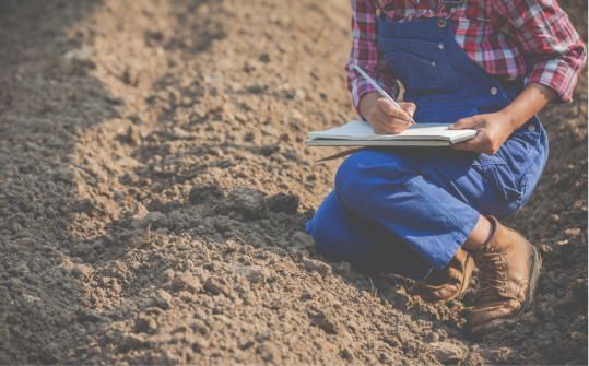 La qualité irréprochable